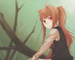   animal_ears holo spice_and_wolf tagme  