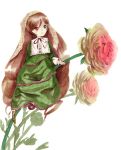 brown_hair dress flower hairband heterochromia highres long_hair missacula rose rozen_maiden suiseiseki traditional_media very_long_hair 