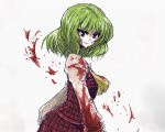  ascot blood drawh13 green_hair kazami_yuuka plaid plaid_skirt plaid_vest skirt skirt_set smile touhou tsurime 