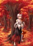  animal_ears autumn detached_sleeves forest geta grass hat highres inubashiri_momiji japanese_clothes leaf leaves nature red_eyes scotch scotch_(artist) short_hair sukocchi sword tail tokin_hat touhou tree weapon white_hair wolf_ears wolf_tail 