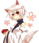  bad_id detached_sleeves hat inubashiri_momiji kusa red_eyes short_hair silver_hair tail tokin_hat touhou 