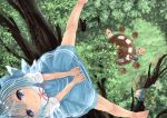 5girls barefoot between_legs black_hair blonde_hair blue_dress blue_eyes blue_hair bow chair cirno daiyousei dress eyebrows_visible_through_hair from_above grass green_hair hair_between_eyes hair_bow hand_between_legs headdress in_tree looking_at_viewer looking_up luna_child mukaino_kei multiple_girls outstretched_leg puffy_short_sleeves puffy_sleeves red_dress red_ribbon ribbon short_hair short_sleeves side_ponytail sitting smile solo_focus spread_legs star_sapphire sunny_milk table touhou tree white_dress wings 
