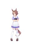  1girl ahoge animal_ears blue_eyes brown_hair crossed_arms full_body hair_between_eyes highres horse_ears horse_tail looking_at_viewer narita_taishin official_art short_hair solo tail thigh-highs transparent_background umamusume zettai_ryouiki 