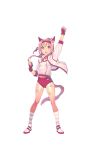  1girl animal_ears arm_up artist_request bandaid_on_leg buruma clenched_hands fingerless_gloves full_body gloves hairband haru_urara_(umamusume) highres horse_ears horse_tail jacket official_art pink_eyes pink_hair ponytail red_buruma red_gloves solo striped striped_legwear tail track_jacket transparent_background umamusume 