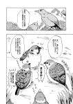  bird comic grass greyscale monochrome munakata_(sekimizu_kazuki) no_humans page_number touhou translation_request 