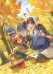  2boys 2girls ahoge apron autumn_leaves basket berries black_hair black_legwear brown_eyes brown_hair commentary cover dutch_angle green_eyes hand_on_own_cheek highres isekai_izakaya_&quot;nobu&quot; japanese_clothes jinbei_(clothes) kururi leaf light_rays long_hair multiple_boys multiple_girls official_art one_eye_closed outdoors redhead ribbed_sweater seiza senke_shinobu shawl short_hair sitting smile sweater tasuki thigh-highs tree waist_apron wariza wind yazawa_nobuyuki 