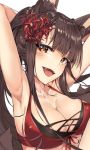  1girl akagi_(azur_lane) animal_ears armpits arms_behind_head azur_lane bikini blush breasts brown_eyes brown_hair cleavage fangs flower fox_ears hair_flower hair_ornament large_breasts long_hair looking_at_viewer open_mouth red_bikini solo swimsuit tuxedo_de_cat upper_body white_background 