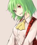  1girl ascot bangs brown_background brown_eyes collared_shirt eyebrows_visible_through_hair green_hair hair_between_eyes head_tilt kazami_yuuka looking_to_the_side miyo_(ranthath) open_mouth shirt short_hair simple_background solo touhou upper_body white_shirt 