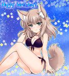  1girl animal_ears bangs bikini black_bikini blue_background blue_eyes breasts burafu cleavage closed_mouth commentary_request dog_ears dog_tail english eyebrows_visible_through_hair front-tie_bikini front-tie_top girls_und_panzer hand_in_hair happy_birthday itsumi_erika kemonomimi_mode legs_crossed long_hair looking_at_viewer medium_breasts side-tie_bikini silver_hair sitting smile solo star starry_background swimsuit tail thighs 