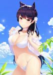  1girl alexiel_(pixiv6211566) animal_ears atago_(azur_lane) azur_lane bangs bare_shoulders bikini black_hair blue_sky blush breasts choker cleavage closed_mouth clouds cloudy_sky collarbone contrapposto cowboy_shot day flower groin hair_flower hair_ornament hair_ribbon hands_up highres jacket large_breasts leaf legs_together long_hair looking_at_viewer midriff mole mole_under_eye navel open_clothes open_jacket outdoors plant ribbon shiny shiny_hair shiny_skin sky smile solo stomach strap_gap swimsuit very_long_hair white_bikini white_choker white_flower white_jacket white_ribbon yellow_eyes 