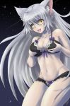  :d animal_ears black_bra black_hanekawa black_panties bra breasts cat_ears cleavage commentary fangs hanekawa_tsubasa highres lingerie long_hair markus_moeller monogatari_(series) navel nekomonogatari open_mouth panties silver_hair slit_pupils smile underwear underwear_only very_long_hair yellow_eyes 