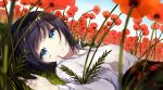 1girl bangs black_hair blue_eyes blue_sky collared_shirt commentary_request day dutch_angle eyebrows_visible_through_hair field flower flower_field grass highres long_sleeves looking_at_viewer looking_to_the_side lying on_back on_grass original outdoors parted_lips plaid plaid_skirt red_flower red_skirt shirt skirt sky sogawa solo white_shirt 