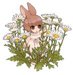  barefoot brown_eyes brown_hair bunny_ears flower original personification rabbit_ears rui_(veranda) short_hair 