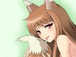  bad_id brown_hair fang genkai_madika holo long_hair naughty_face red_eyes spice_and_wolf tail tongue wolf_ears 