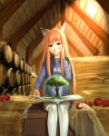  1girl absurdres animal_ears apple artist_request barrel book brown_hair chest eyebrows_visible_through_hair food fruit hand_on_own_face highres holo long_hair red_eyes shirt sitting skirt solo spice_and_wolf thigh-highs tree vest white_legwear wolf_ears 
