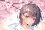  1girl bangs blurry blurry_background blush brown_hair cherry_blossoms collarbone day depth_of_field eyebrows_visible_through_hair flower long_hair mouth_hold nakahara_yoshi original outdoors pink_eyes pink_flower sailor_collar shade shiny shiny_hair short_hair solo spring_(season) sunlight tree_branch twitter_username upper_body white_sailor_collar 
