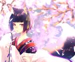  1girl animal_ears bangs black_hair blunt_bangs blurry blurry_background blush bob_cut cherry_blossoms chita_(ketchup) eyebrows_visible_through_hair eyelashes fingernails fox_ears fox_girl fox_tail hair_ribbon highres japanese_clothes kimono long_sleeves looking_at_viewer multicolored multicolored_eyes nail_polish original parted_lips red_nails ribbon ribbon-trimmed_sleeves ribbon_trim short_hair signature sleeves_past_wrists solo tail thick_eyebrows twitter_username upper_body wide_sleeves 