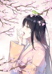  1girl animal animal_on_head bangs bird bird_on_head black_hair blurry blurry_foreground blush brown_eyes brown_kimono cherry_blossoms commentary_request depth_of_field eyebrows_visible_through_hair fingernails floral_print flower from_side hand_up highres japanese_clothes kimono kooan long_hair on_head open_mouth original pink_flower print_kimono solo tears tree_branch very_long_hair yawning 