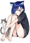  1girl absurdres abuwei_shenshijun animal_ears bare_legs black_panties black_shirt blue_hair cat cat_ears darling_in_the_franxx green_eyes hair_ornament hairclip head_on_knees highres ichigo_(darling_in_the_franxx) kemonomimi_mode panties shirt short_hair simple_background sitting underwear 