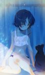  1girl absurdres arutera bangs bikini black_cat blue_hair blurry cat choker crop_top crying crying_with_eyes_open depth_of_field eyebrows_visible_through_hair flat_chest highres light_particles midriff navel original parted_bangs see-through short_hair sitting solo swimsuit tears violet_eyes 
