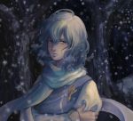  1girl ahoge arm_holding blue_eyes blue_hair breath crossed_arms expressionless forest hair_between_eyes letty_whiterock long_sleeves looking_at_viewer medium_hair nature no_headwear outdoors pin samuhiro_(affairshero85) scarf snowing solo touhou upper_body wind 