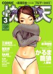  1girl 2002 artist_name brown_eyes brown_hair comic_kairakuten copyright_name cover cover_page cowboy_shot dated green_background long_hair long_sleeves magazine_cover murata_renji navel one_eye_closed panties shirt_lift simple_background solo sweater twintails underwear white_panties 