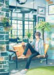  1boy barefoot boots brick_wall brown_hair cat clock converse couch daisy denim flower glasses hood hoodie indoors jeans lamp light_smile male_focus original painting_(object) pants pillow plant potted_plant rug short_hair sitting slippers slippers_removed solo suda_ayaka vines window wooden_floor 