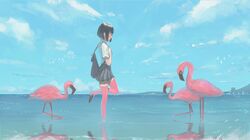  1girl backpack bag bird black_hair black_skirt blue_sky bob_cut flamingo from_side horizon leg_up looking_at_another miniskirt ocean original outdoors pink_legwear pleated_skirt profile reflection reido_(reido_c) school_uniform serafuku shirt short_hair short_sleeves skirt sky smile standing standing_on_one_leg thigh-highs wading white_shirt zettai_ryouiki 