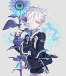  1boy blue_fire fire flower freckles gokotai hair_over_one_eye kiwame_(touken_ranbu) male_focus military military_uniform pota_(bluegutty) shorts smile sunflower touken_ranbu uniform white_hair yellow_eyes 