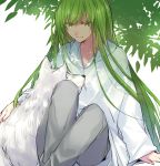  1other androgynous animal bangs citron_82 collarbone commentary_request dappled_sunlight enkidu_(fate/strange_fake) eyebrows_visible_through_hair fate/strange_fake fate_(series) green_eyes green_hair grey_pants grin half-closed_eyes knees_up long_hair long_sleeves looking_at_animal pants petting raised_eyebrows robe simple_background sitting smile sunlight tree tree_shade under_tree very_long_hair white_background white_robe white_wolf wolf 
