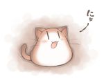  blob cat cathead nekoguruma tail 