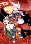 1girl alcohol alternate_hairstyle animal animal_ears autumn_leaves bare_shoulders breasts cleavage collarbone cup feet full_moon hair_ornament hair_ribbon hairclip highres inubashiri_momiji japanese_clothes large_breasts leaf looking_at_viewer moon no_shoes obi oohirakeisuke red_eyes red_ribbon ribbon sakazuki sake sash silver_hair sitting solo tail toeless_legwear toeless_socks toes wolf wolf_ears wolf_tail