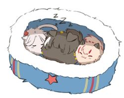  :3 animalization closed_eyes english_commentary fur_hat girls_frontline hat in_hat m4_sopmod_ii_(girls_frontline) makarov_(girls_frontline) no_humans ro635_(girls_frontline) simple_background sleeping star white_background yuutama2804 zzz 