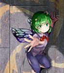  1860_(ichi) 1girl against_wall antennae bow commentary_request eyebrows_visible_through_hair flat_chest green_eyes green_hair hair_between_eyes hair_ornament hairclip hip_vent insect_wings looking_at_viewer open_hand outstretched_hand reaching_out red_bow red_neckwear shadow shirt short_hair short_sleeves shorts smile solo star star_hair_ornament stone_wall touhou untucked_shirt wall white_shirt wings wriggle_nightbug 
