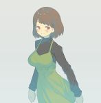  1girl :d alternate_costume arms_at_sides blush breasts brown_hair chara_(undertale) dress green_dress grey_background long_sleeves looking_at_viewer medium_breasts open_mouth oshiruko_(tsume) pinafore_dress red_eyes shiny shiny_hair simple_background smile solo tareme teeth undertale upper_body 