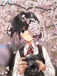  1girl black_dress black_hair blurry blurry_background blush camera cherry_blossoms closed_mouth collared_shirt depth_of_field dress holding holding_camera long_sleeves looking_at_viewer mole mole_under_eye multicolored_hair one_eye_covered original petals pinafore_dress pink_hair shiny shiny_hair shirt short_hair smile spring_(season) teshima_nari tree_branch two-handed two-tone_hair upper_body white_shirt wing_collar 