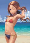  1girl arm_up beach bikini blue_eyes blue_sky blush brown_hair clouds commentary_request cowboy_shot day fate/grand_order fate_(series) flat_chest hair_ribbon highres leonardo_da_vinci_(fate/grand_order) long_hair looking_at_viewer multicolored multicolored_bikini multicolored_clothes navel ocean one_eye_closed outdoors ponytail ranma_(kamenrideroz) ribbon sand shiny shiny_hair shore side-tie_bikini sky smile solo standing star star_print swimsuit water 