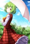  1girl ;) aka_tawashi ascot blue_sky breasts bush clouds commentary_request day eyebrows_visible_through_hair feet_out_of_frame green_hair head_tilt highres holding holding_umbrella kazami_yuuka long_skirt long_sleeves looking_at_viewer looking_back medium_breasts one_eye_closed petticoat plaid plaid_skirt plaid_vest plant red_eyes red_skirt red_vest shirt short_hair skirt sky smile solo standing touhou umbrella vest white_shirt wing_collar yellow_neckwear 