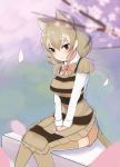  1girl apron blush bow bowtie cherry_blossoms commentary_request eyebrows_visible_through_hair flower hands_on_lap highres kemono_friends light_brown_hair long_sleeves multicolored_hair short_hair shorts sitting smile striped svelgr_(hre) thigh-highs thylacine_(kemono_friends) thylacine_ears thylacine_tail white_hair 