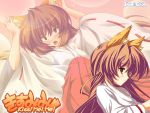  brown_eyes brown_hair fox_ears kiss_me_me! miko tamaki_hisame yuuki_hagure 