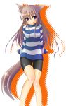  animal_ears bike_shorts blue_eyes blush dog_ears fang highres kotaru long_hair long_shirt mizunoe_kotaru original smile striped striped_sweater sweater tail 