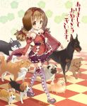  1girl animal_ears beagle blue_eyes blush braid brown_eyes brown_hair checkered checkered_floor chinese_zodiac detached_sleeves doberman dog dog_ears dog_request floral_background hair_ribbon highres husky long_sleeves looking_at_viewer original pleated_skirt pomeranian_(dog) pug purple_legwear purple_skirt red_ribbon ribbon sandals shiba_inu skirt standing thigh-highs tomiwo tongue tongue_out twitter_username walking wide_sleeves year_of_the_dog 