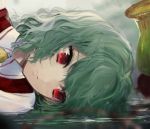  1girl ascot commentary_request daimaou_ruaeru green_hair kazami_yuuka looking_to_the_side lying on_side plaid plaid_vest plant red_eyes red_vest reflection shirt short_hair solo touhou upper_body vest water white_shirt wing_collar yellow_neckwear 