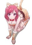  1girl all_fours animal_ears animal_print arm_warmers ayumu-k belt blush bow bowtie breasts cleavage clenched_hands eyebrows_visible_through_hair fake_animal_ears fang frills fur-trimmed_legwear fur_trim highres kneehighs kneeling leopard_ears leopard_print leopard_tail looking_at_viewer love_live! love_live!_school_idol_project medium_breasts nishikino_maki paw_pose red_neckwear redhead shadow smile solo tail violet_eyes white_background 