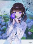  1girl bangs blurry blurry_background blush bra_through_clothes brown_hair closed_mouth collared_shirt depth_of_field eyebrows_visible_through_hair flower gloves hands_up holding holding_flower holding_umbrella hydrangea long_hair long_sleeves looking_at_viewer original purple_gloves rain sanbasou school_uniform see-through shirt signature smile solo transparent transparent_umbrella umbrella violet_eyes wet wet_clothes wet_shirt white_shirt 