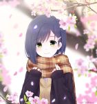  1girl blue_hair blurry blush closed_mouth commentary_request darling_in_the_franxx eyebrows_visible_through_hair green_eyes hair_ornament hairclip highres ichigo_(darling_in_the_franxx) lawnielle long_sleeves looking_at_viewer petals plaid plaid_scarf scarf shiny shiny_hair short_hair smile solo upper_body 