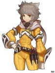  1girl alternate_hairstyle animal_ears artist_request bodysuit braid cat_ears gloves highres long_hair looking_at_viewer niyah silver_hair simple_background smile solo white_gloves xenoblade_(series) xenoblade_2 yellow_bodysuit yellow_eyes 