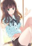  amamiya_chiharu blue_shirt brown_hair bug butterfly buttons crossed_arms green_eyes insect long_hair long_sleeves original shirt shorts sitting striped striped_shirt vertical-striped_shirt vertical_stripes window 