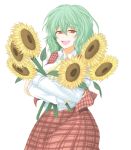  flower green_hair holding holding_flower kazami_yuuka open_mouth plaid plaid_skirt plaid_vest red_eyes short_hair skirt skirt_set smile sunflower toobane touhou white_background 