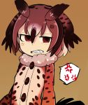  1girl absurdres anger_vein angry arms_at_sides brown_coat brown_hair buttons clenched_teeth coat eurasian_eagle_owl_(kemono_friends) fur_collar hair_between_eyes half-closed_eyes highres kanmoku-san kemono_friends long_sleeves looking_at_viewer multicolored_hair red_eyes sharp_teeth short_hair simple_background solo spoken_anger_vein teeth upper_body 